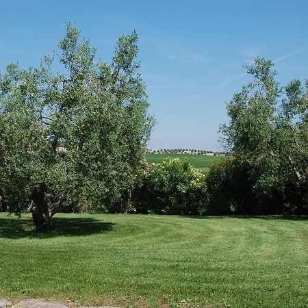 Agriturismo Le Coccinelle Guest House Magliano in Toscana Exterior photo