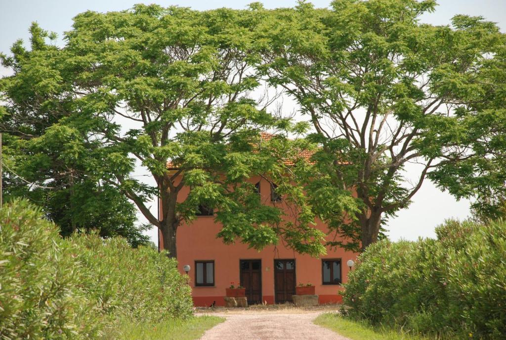 Agriturismo Le Coccinelle Guest House Magliano in Toscana Exterior photo