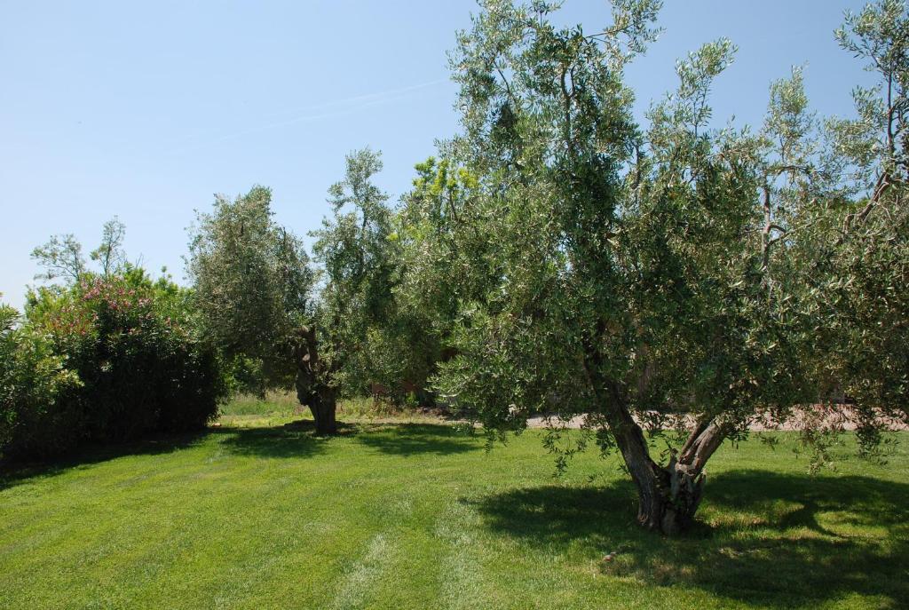 Agriturismo Le Coccinelle Guest House Magliano in Toscana Exterior photo