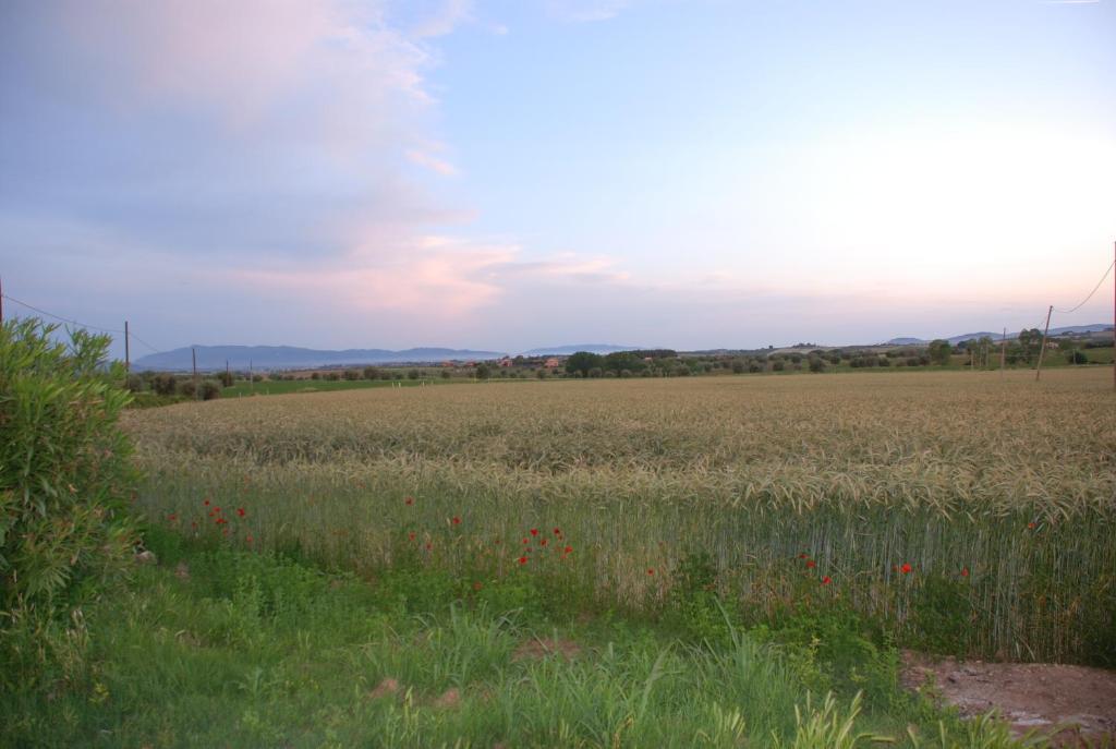 Agriturismo Le Coccinelle Guest House Magliano in Toscana Exterior photo