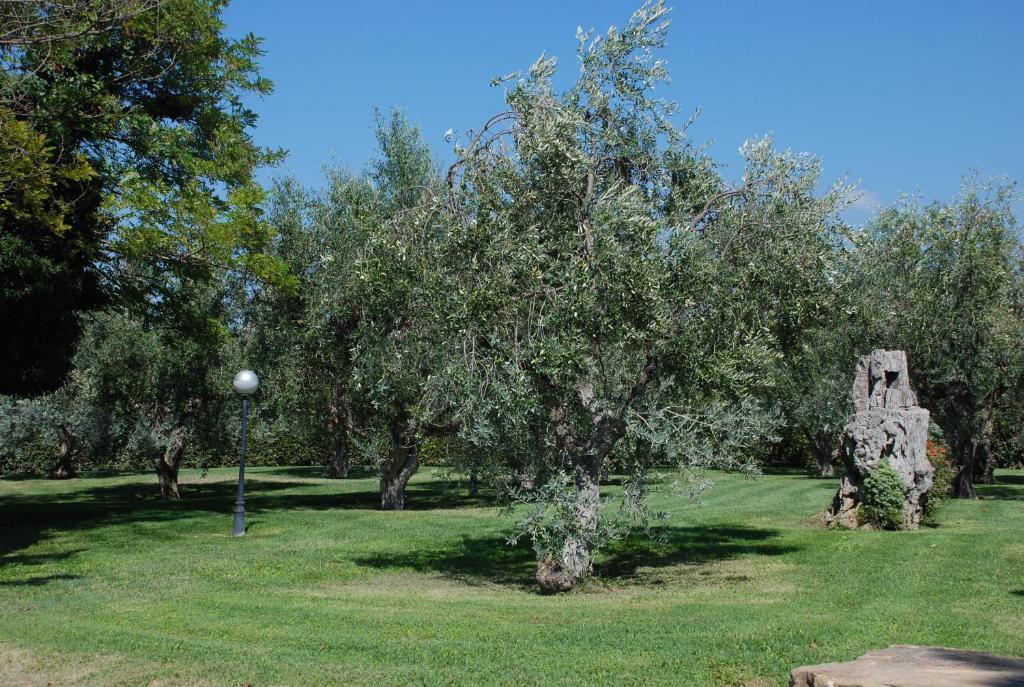 Agriturismo Le Coccinelle Guest House Magliano in Toscana Exterior photo