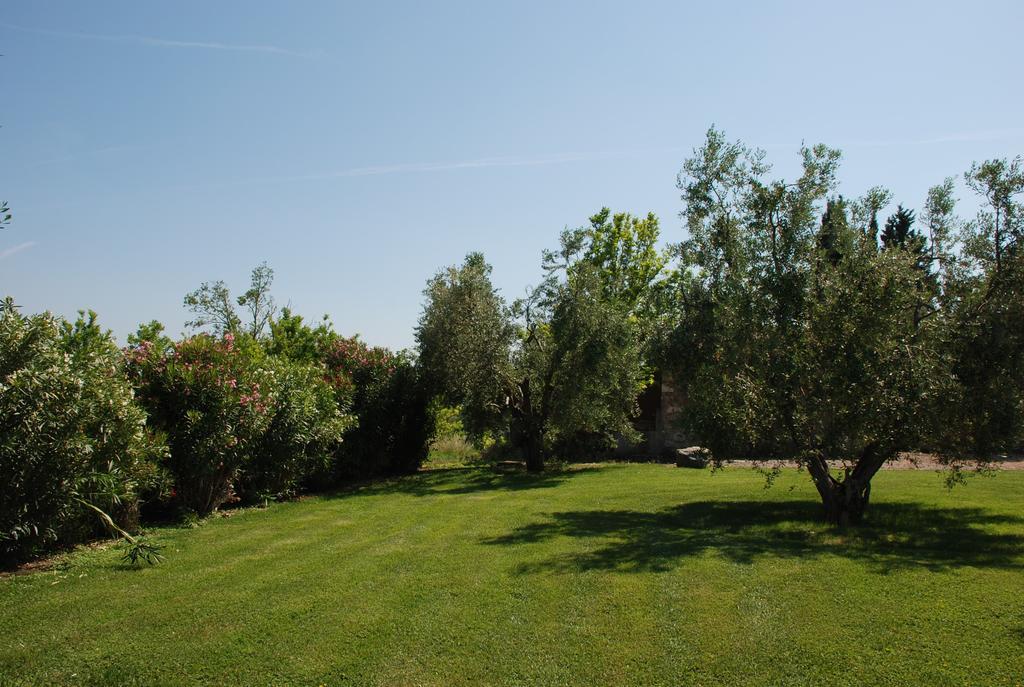 Agriturismo Le Coccinelle Guest House Magliano in Toscana Exterior photo